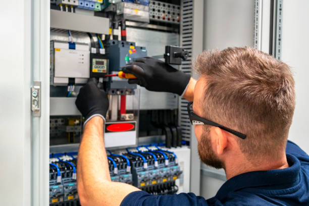 Best Electric Panel Repair  in Cactus, TX
