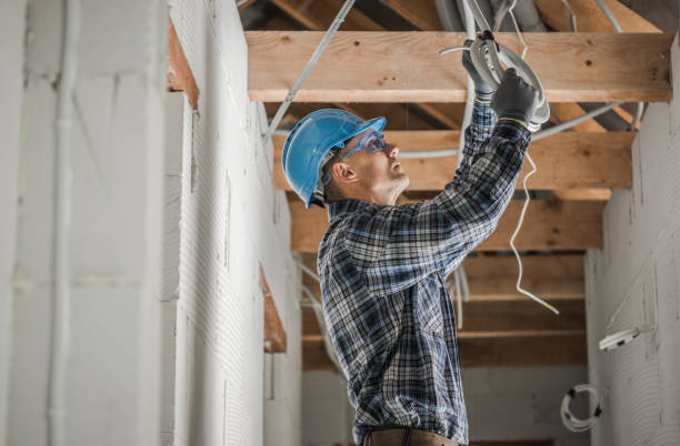 Best Local Electrician Companies  in Cactus, TX