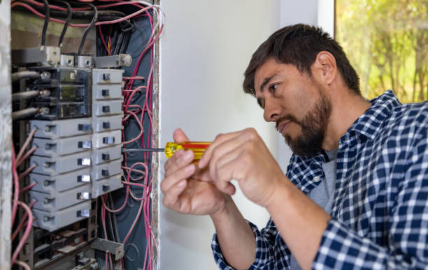 Best Electrician for Home Renovation  in Cactus, TX